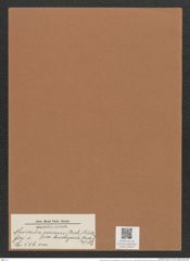Navicula serians [var. brachysira] (Breb.) V.H. (de-Toni-Nr.: Genus 1, Species 506) Zeichnungen Sammlung Grunow Mappe 00443 (Herbarium_W_Grunow_drawings_Folder_00443)